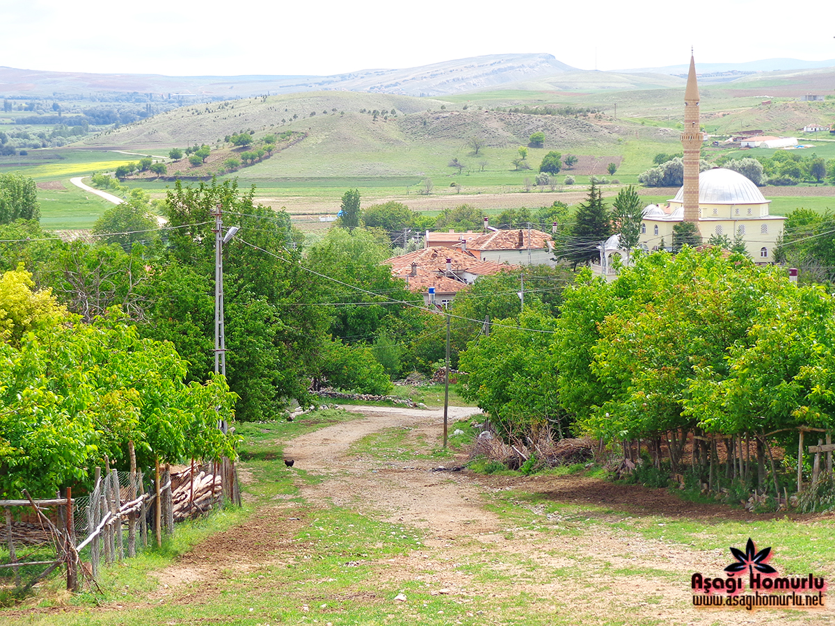 Bu pencereyi kapatmak iin resime klikleyin